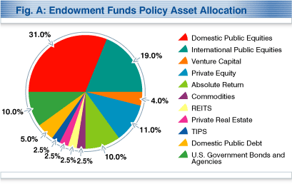 Endowment Funds Policy Asset Allocation